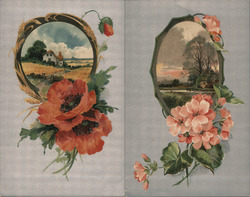 Lot of 2: Flowers with Scenic Vingettes Postcard