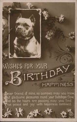 Wishes for your Birthday Happiness - photo of a dog with daisies and carnations Postcard