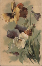 Watercolor Painting of Multicolored Pansies C. Klein Postcard Postcard Postcard