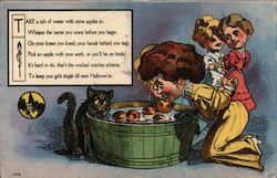 A woman and a cat bobbing for apples Postcard