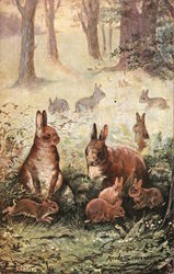 Wild Rabbit - Maude Scrivener Tuck's Oilette Series Postcard Postcard Postcard