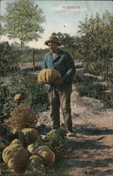 Pumpkins - A farmer holding a large pumpkin from his patch Postcard