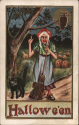 Halloween - Pointing Witch with Broomstick, Black Cat and Owl Postcard