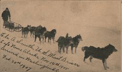 Eli A. Smith Sled and Sled Dogs Delivers Mail Postcard Postcard Postcard
