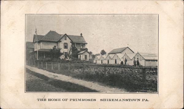 The Home of Primroses Shiremanstown Pennsylvania