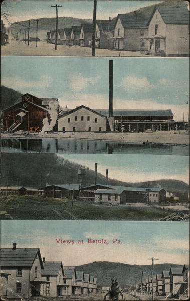 Views at Berula, Pa. Betula Pennsylvania