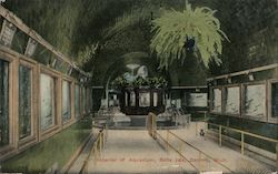 Interior of Aquarium, Belle Isle Postcard