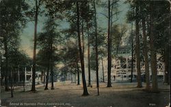 Scene in Mounds Park Postcard