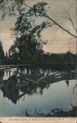 Romantic Scene in Bellevue Park Postcard