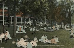 PICNIC GROUNDS, VINEWOOD PARK Postcard