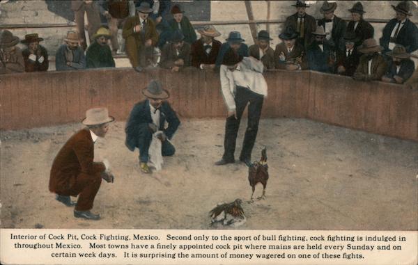 Interior of Cock Pit, Cock Fighting Mexico