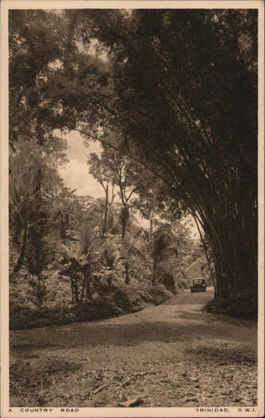 A country road - Trinidad, B.W.I. Trinidad and Tobago