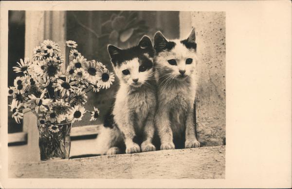 Two Kittens with Vase of Flowers Cats