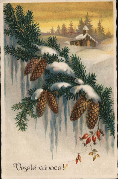 Vesele vanoce! - Merry Christmas Czech Republic Eastern Europe