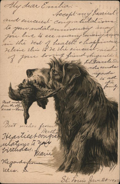 Dog retrieving a duck Dogs