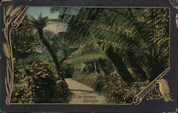 In the Fernery, Bendigo Postcard