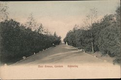 Main Avenue, Gardens Kimberley, South Africa Postcard Postcard Postcard
