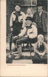 Bönder fra Telemarken Postcard