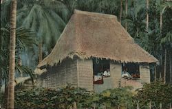 Native Nipa House and Coconut Grove Postcard
