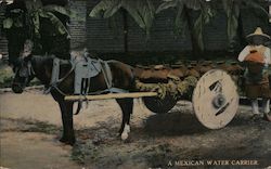 A Mexican Water Carrier Postcard