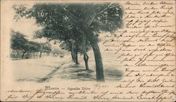 Aguadas Drive Postcard