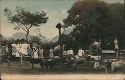 Corrales de ganado en chichlgalpa Postcard