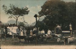 Corrales de ganado en chichlgalpa Chichigalpa, Nicaragua Central America Postcard Postcard Postcard