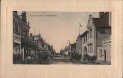 Maitland Street Postcard