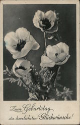 Warmest Birthday Wishes with Poppies Postcard