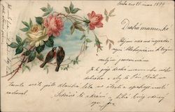 Two songbirds in a rose bush Postcard