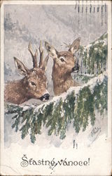 Šťastné vánoce - Merry Christmas Postcard