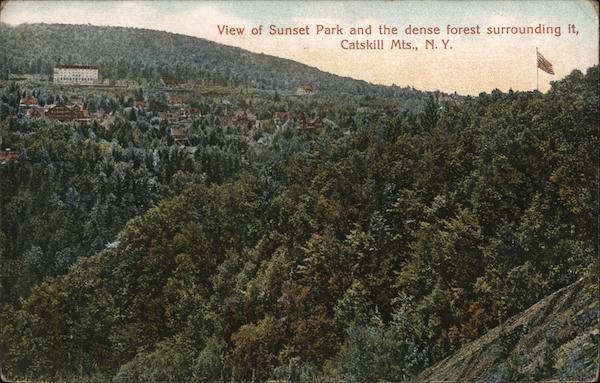 View of Sunset Park and the dense forest surrounding it Haines Corners New York
