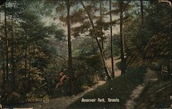 Reservoir Park Toronto, Canada Misc. Canada Postcard Postcard Postcard