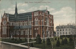 Saint Peters Cathedral London, ON Canada Ontario Postcard Postcard Postcard