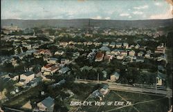Birds Eye View Postcard