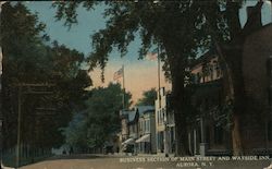 Business section of Main Street and Wayside Inn Aurora, NY Postcard Postcard Postcard