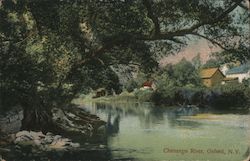 Chenango River Oxford, NY Postcard Postcard Postcard