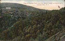 View of Sunset Park and the dense forest surrounding it Postcard
