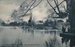Water Scene at the Picnic Grounds Postcard