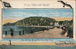 Hotel St. Catherine, on the Ocean Front, At Avalon, Catalina Island, California Postcard