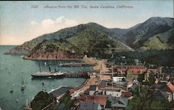 Avalon from the Hill Top Postcard