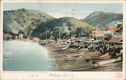 The Beach at Avalon Santa Catalina Island, CA Postcard Postcard Postcard