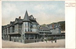 Hotel Metropole, Avalon Postcard
