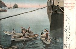 Diving for Coins thrown from Cabrillo Avalon Postcard