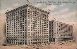 Mandel Bros., New Store, State, Madison Sts. and Wabash Ave. Postcard