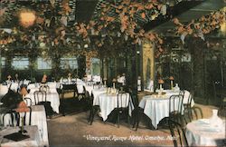 Vineyard, Rome Hotel Postcard