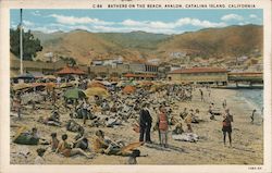 Bathers on the Beach Avalon, CA Postcard Postcard Postcard