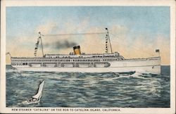 New Steamer "Catalina" on the run to Catalina Island, California Postcard