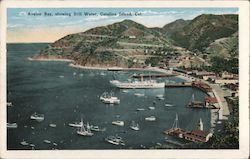 Avalon Bay, showing Still Water Santa Catalina Island, CA Postcard Postcard Postcard