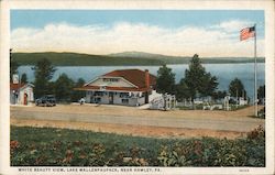 White Beauty View, Lake Wallenpaupack Postcard